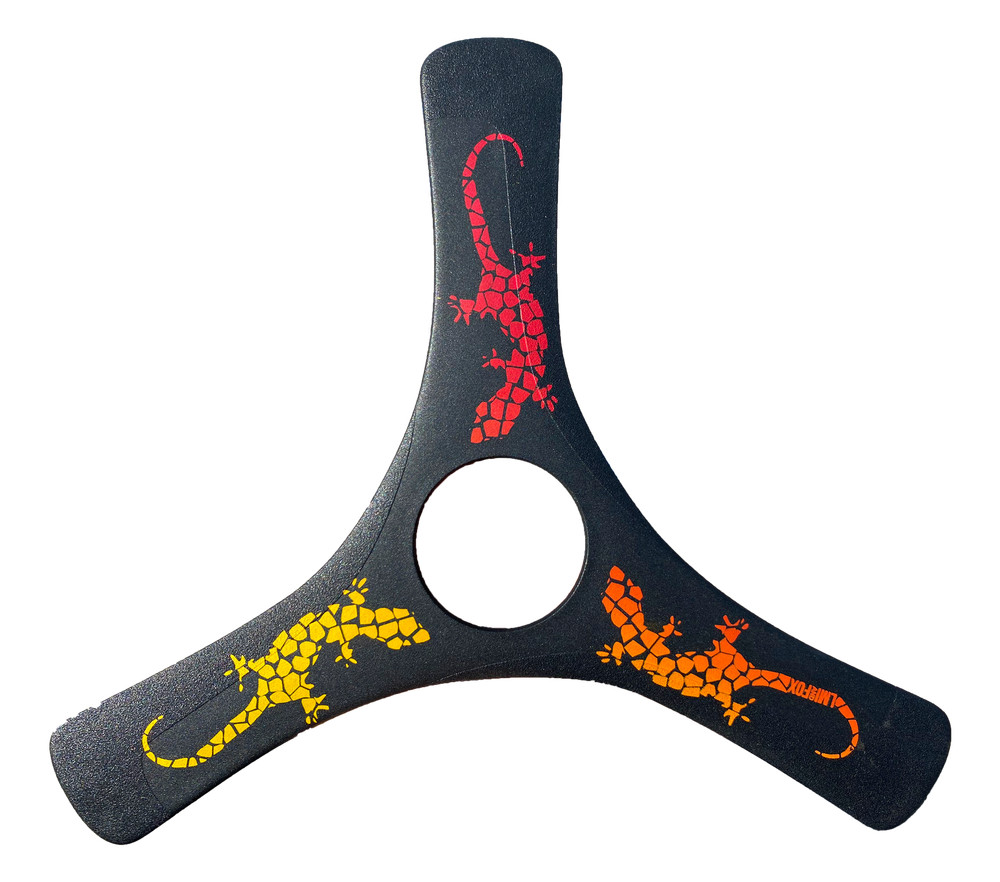 Spin Racer Carbon Boomerang