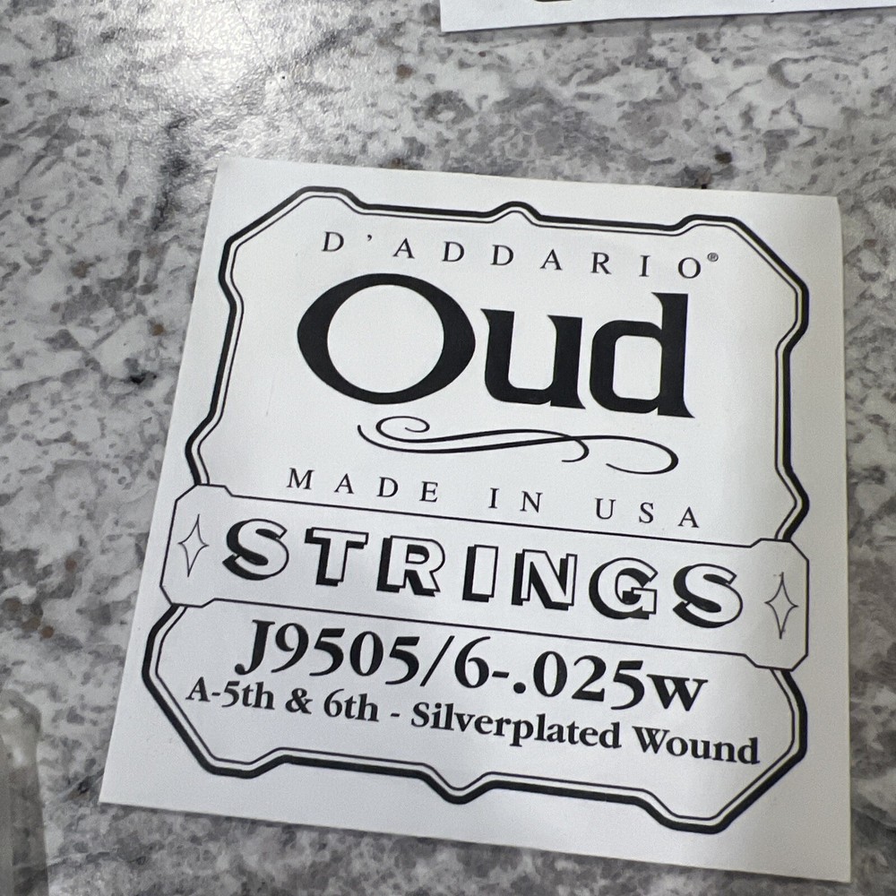 D'Addario EJ95 Oud 11-String Set