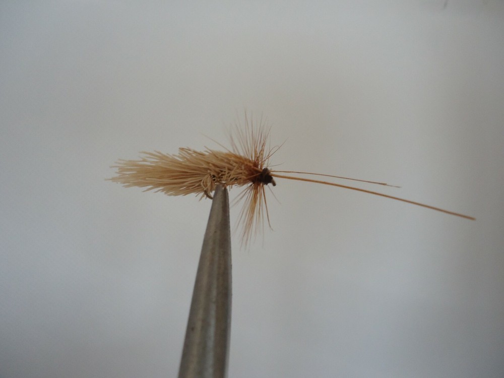 Goddard Caddis Size 14