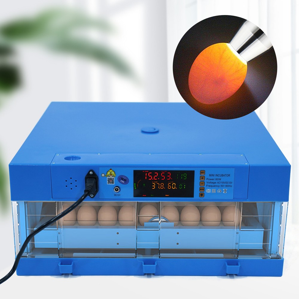 Digital Fully Automatic 64 Egg Incubator Egg Hatching Machine Chicken 12V/110V