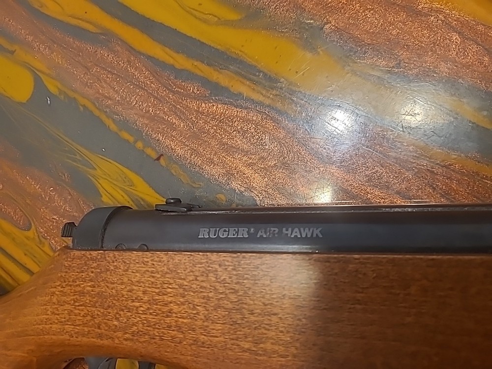 ruger air hawk