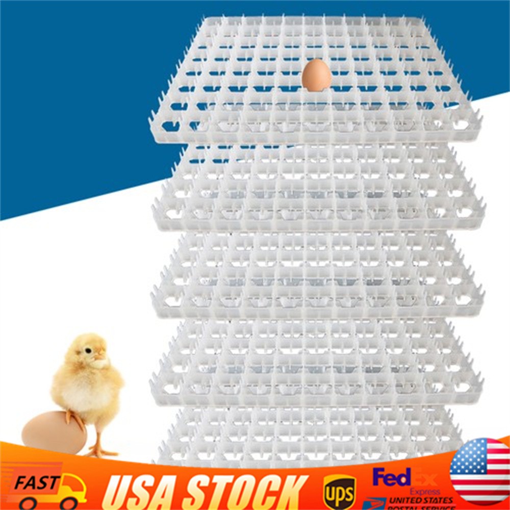 5*Egg Hatching Incubator Trays Chicken  Pheasant Duck 88 Egg Plastic Holder