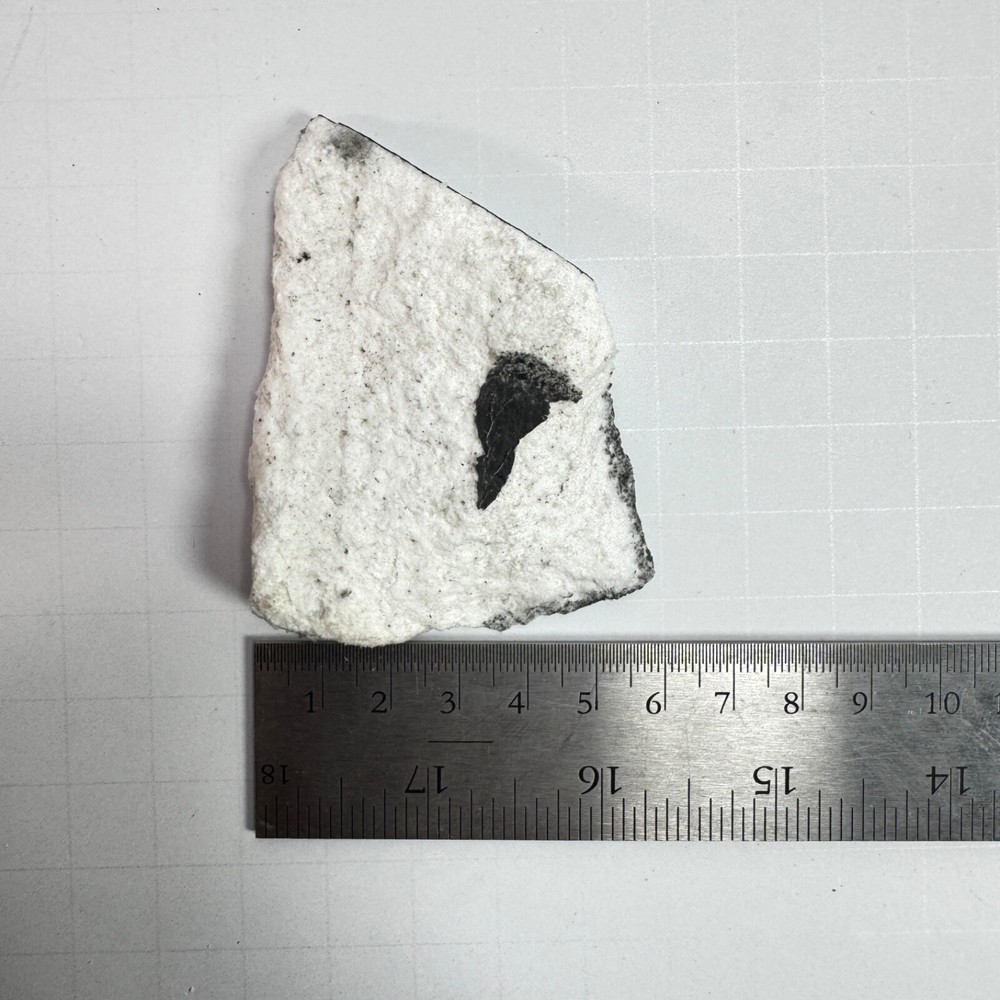 Space X Starship 34 - Recovered Heat Shield Tile - Flight 8