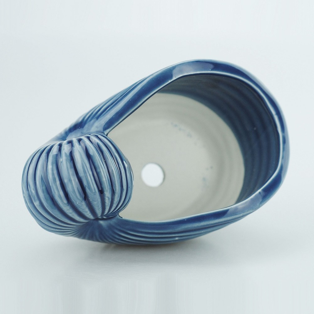 5" Ceramic Succulent Pot - Ocean Blue Seashell Series, Conch Shaped Cactus Pl...