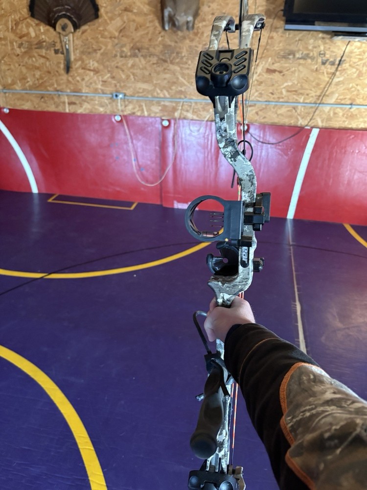 Left Handed Bear Paradox