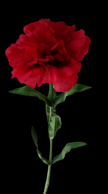 Artificial Real touch Large carnations