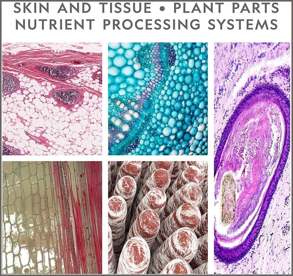 NEW Ultimate Dual Microscope National Geographic