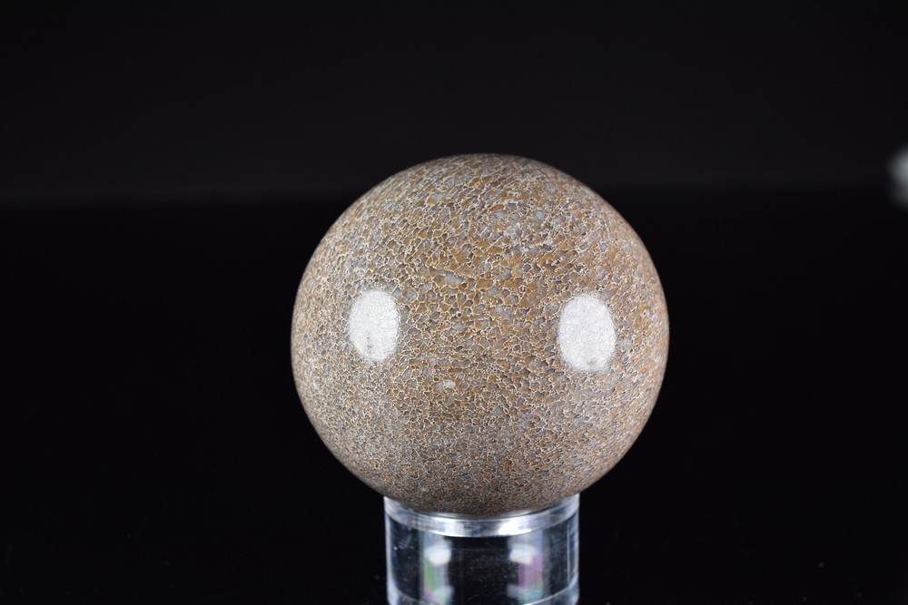 Dinosaur Bone Sphere from Morocco 7.6 cm # 20121