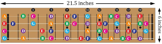 Color Coded Ukulele Guitar Fretboard Note Chart Learn to Play Guitar