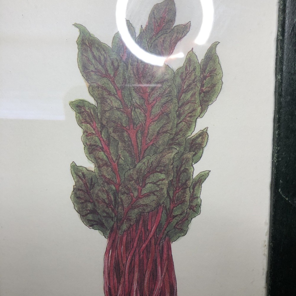 “Beets Me” Art, Kitchen Art. Red Beets In A Green Frame