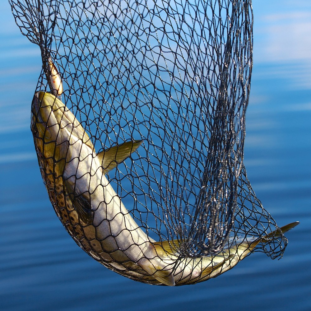 Fishing Net with Telescoping Handle Collapsible Adjustable Landing Net 80 Inch