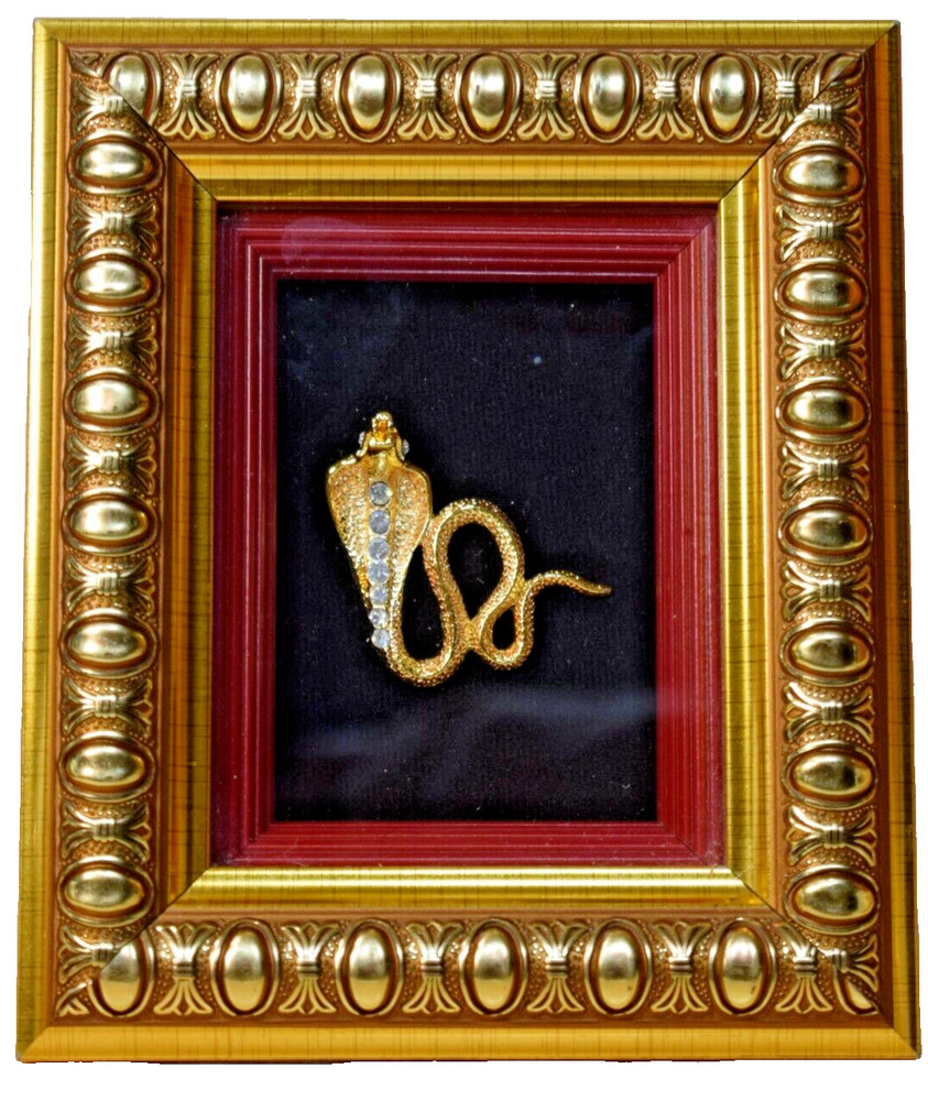 Cobra Snake Shadow Box Frame