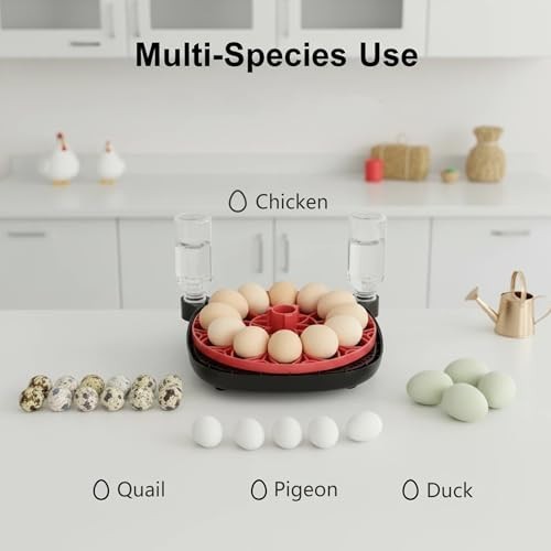 Automatic Egg Incubator for 12 Chicken Eggs with Camera APP Control