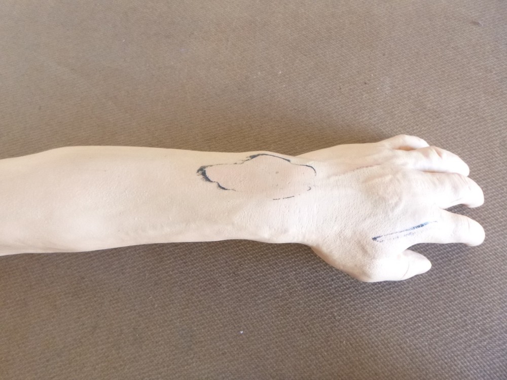 Nasco Life/Form IV Injection Training Arm
