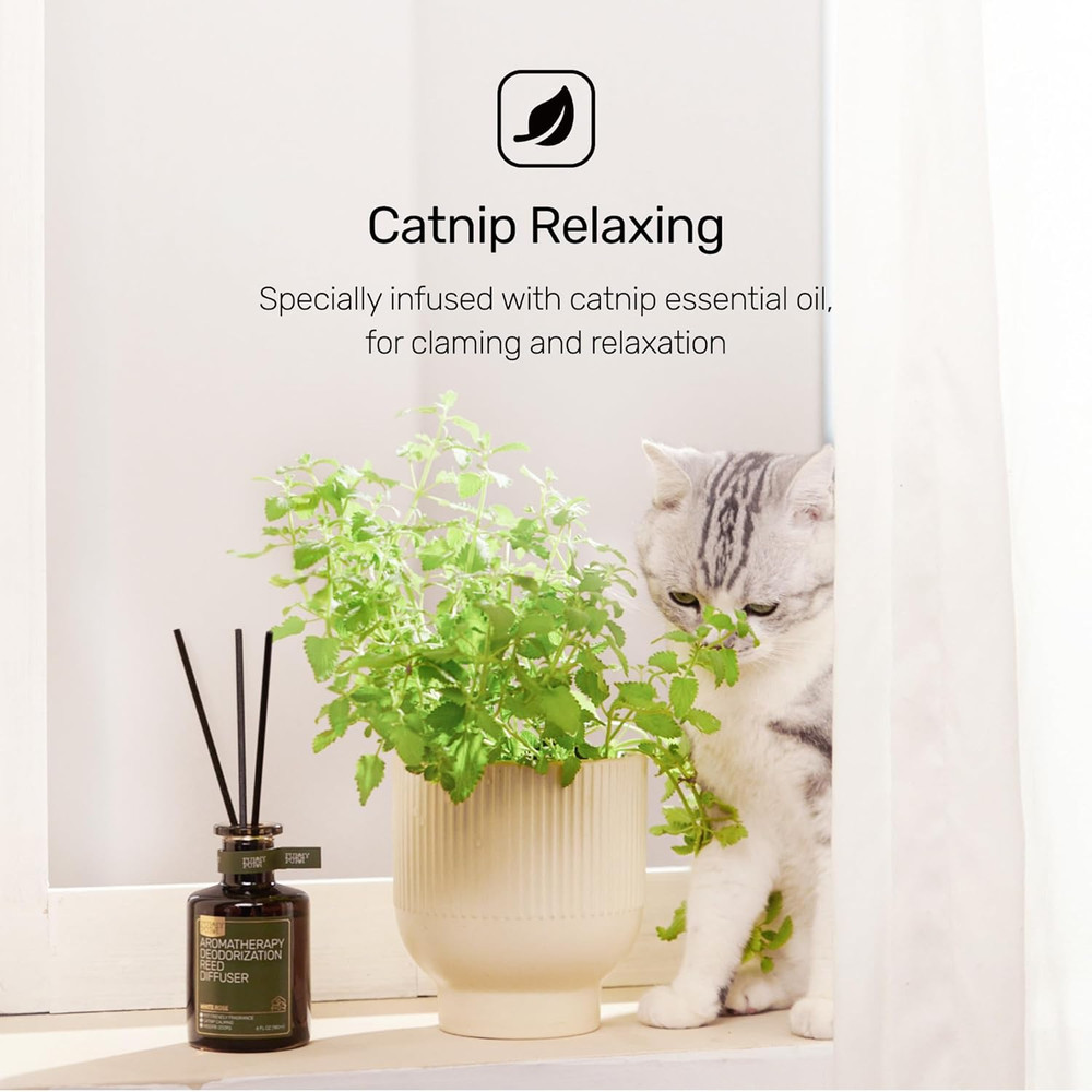 Reed Diffuser for Pet Odor Elimination, Lavender Cedar, Non-Toxic & Pet-Friendly