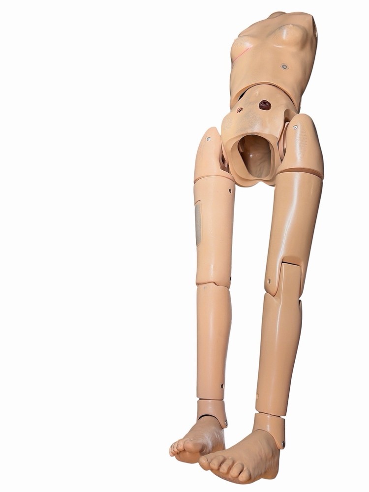Nasco Life Form Medical Manikin