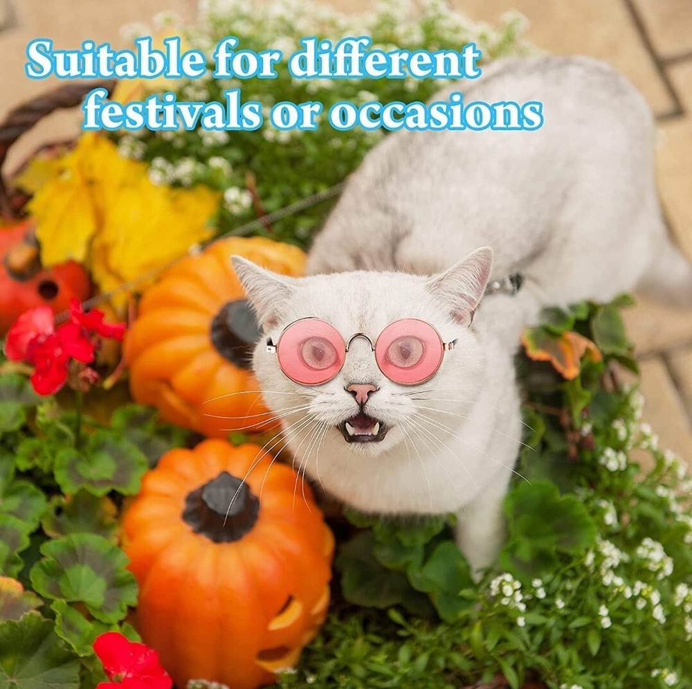 Cat Costume Sunglasses 15 Pair
