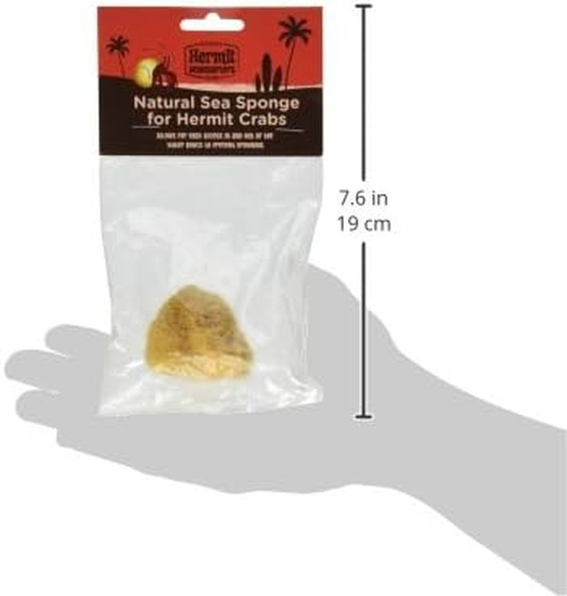 Fluker'S Natural Sea Sponge for Hermit Crabs