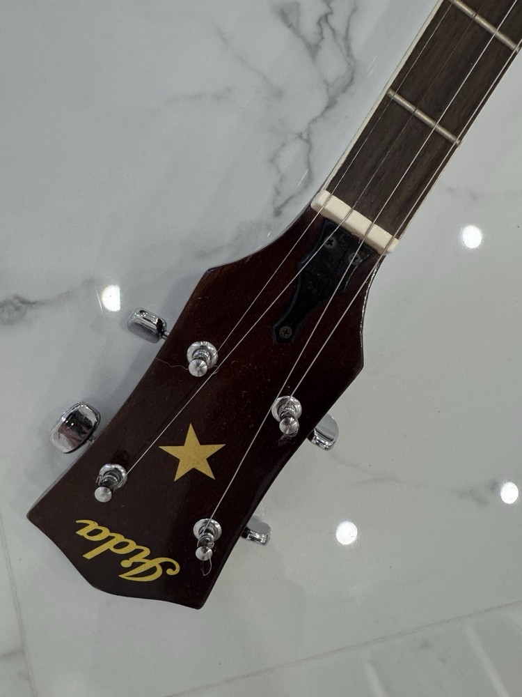 Lida 4 String Banjo with Case - Great Condition