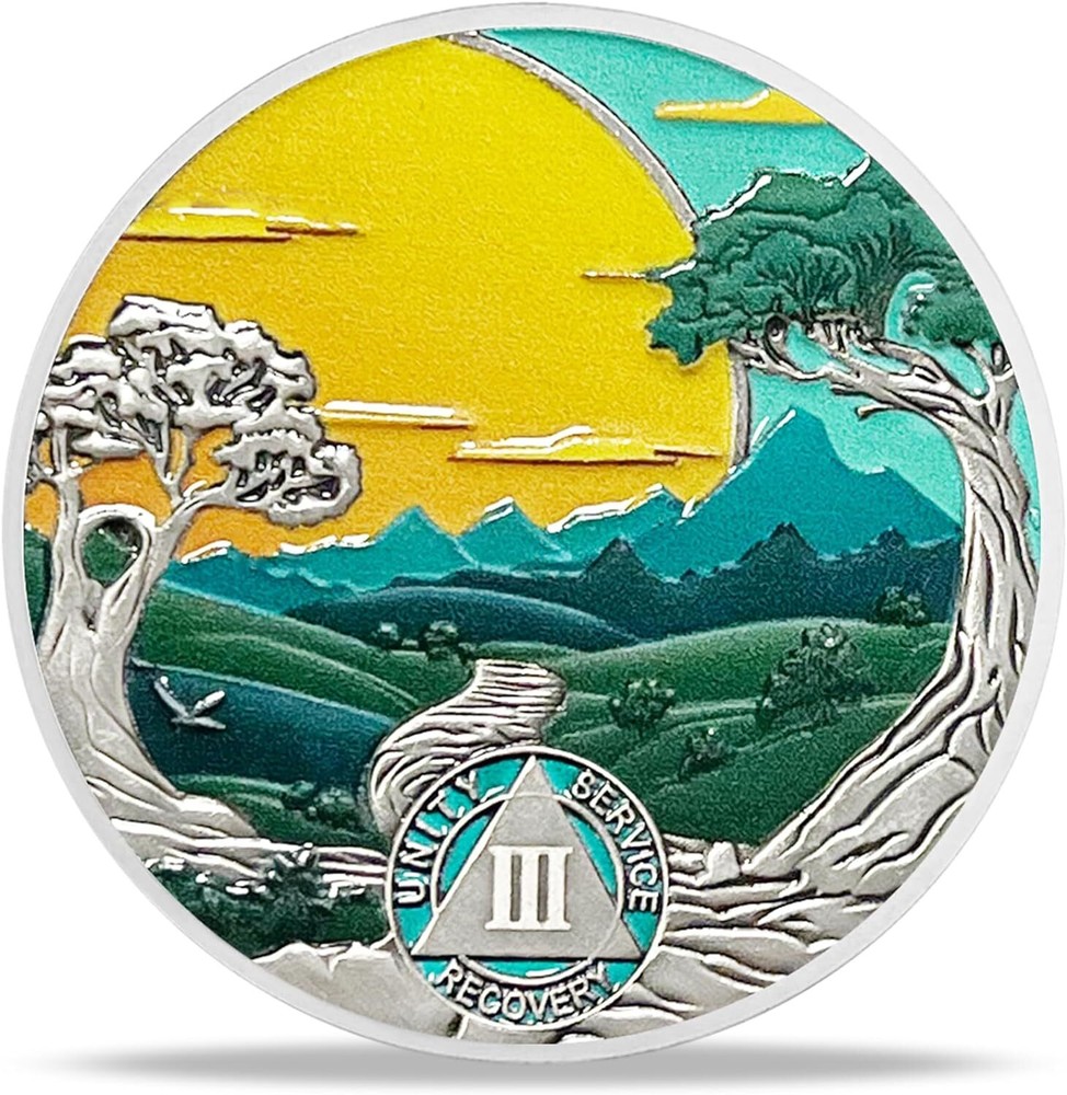 AA 3 Year Sobriety Coin Alcoholics Anonymous AA Chips Medallion Three Year Sober
