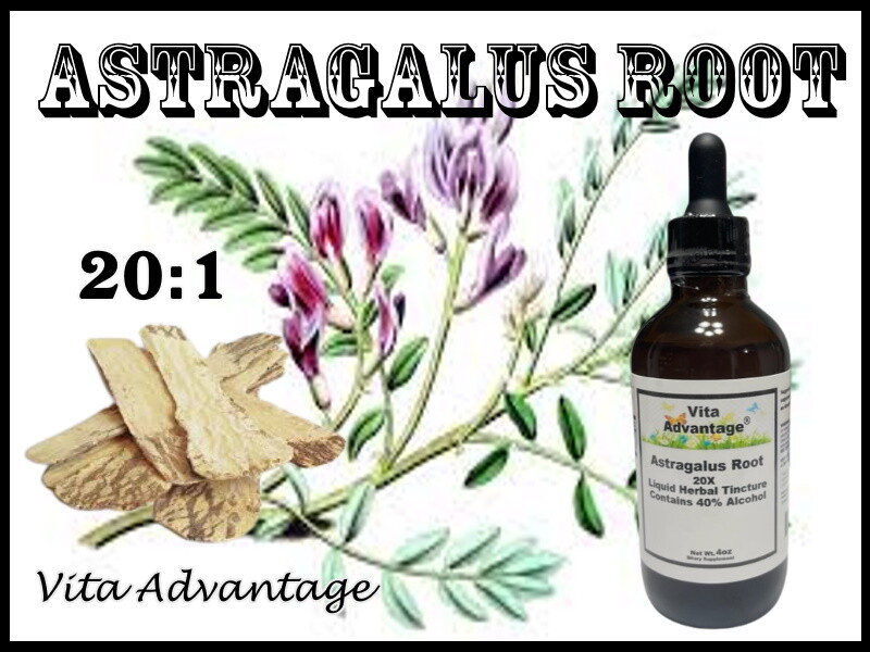ORGANIC ASTRAGALUS ROOT HIGH POTENCY 20:1 EXTRACT 4oz