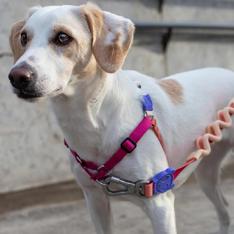 ZEE.DOG | Cinnamon | Soft Walk Dog Harness | No Pull Dog Harness | Front Clip