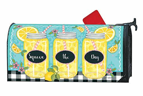 MailWraps - Mailbox Cover - Squeeze the Day