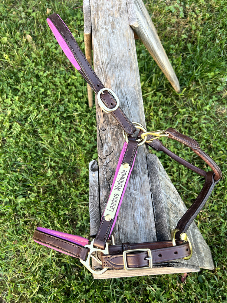 Leaders 3/4" Leather Halter Pink Padded with Solid Brass Hardware