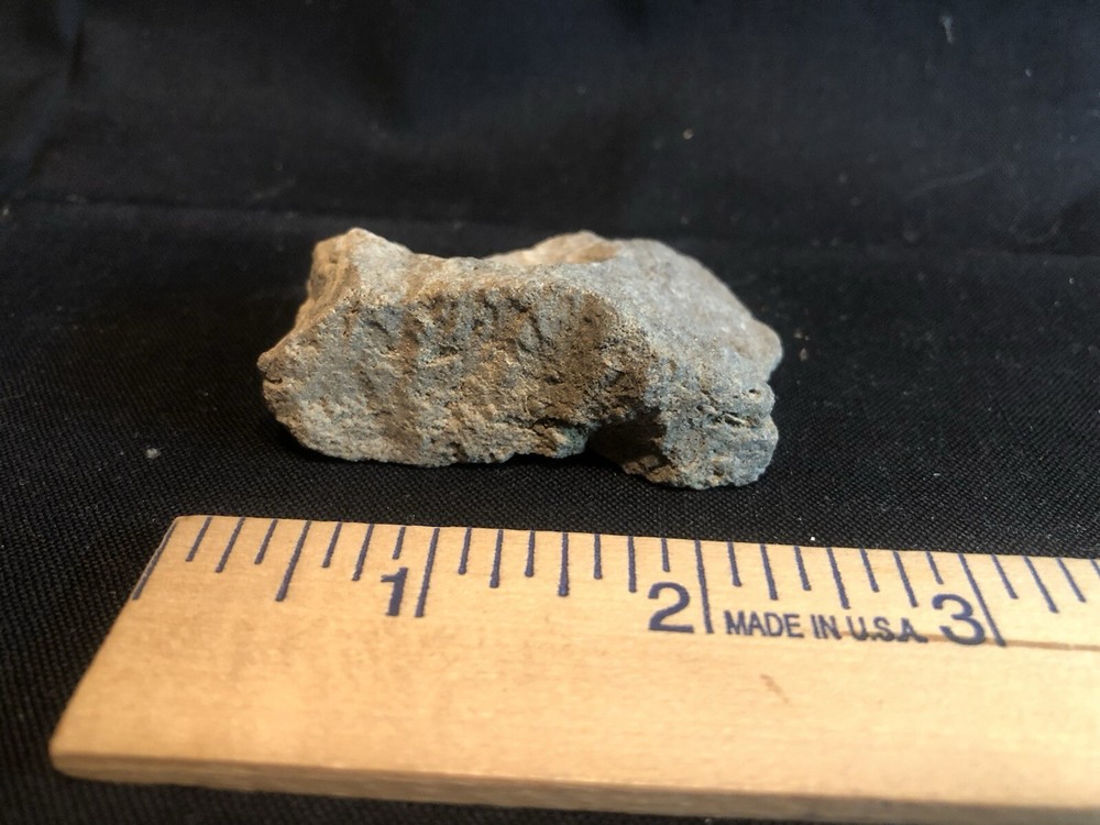 Fossils From West Virginia Mountain