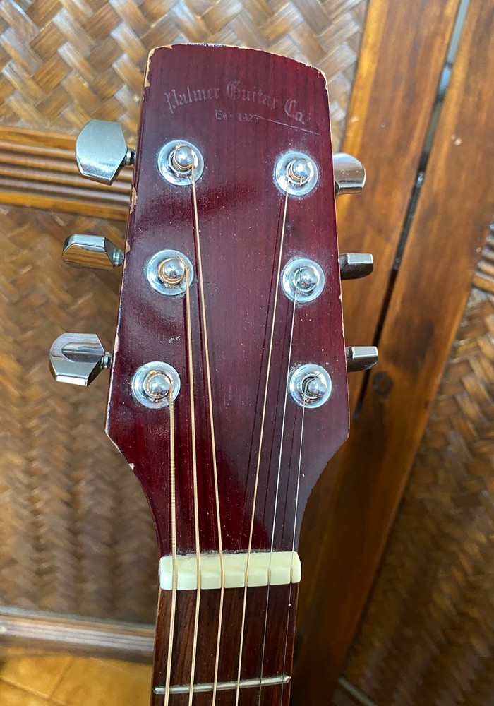 VINTAGE PALMER Acoustic