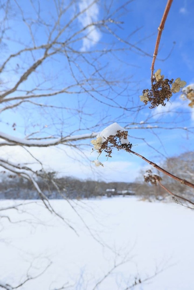 Canon EF 20 F2.8 USM [Defective]
