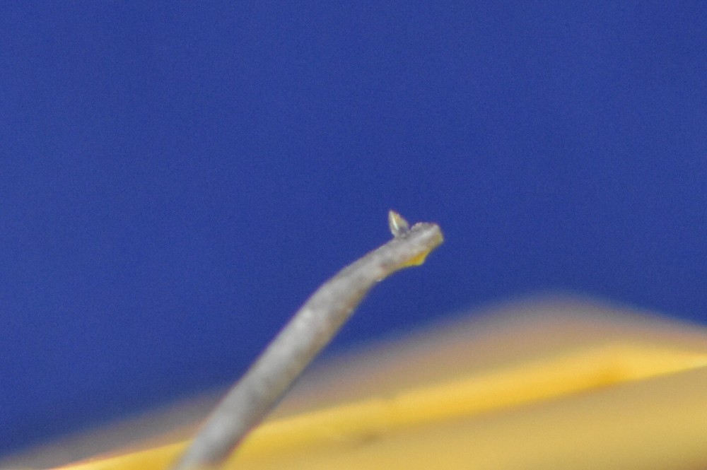 Excel ES-75QL In Excellent Condition