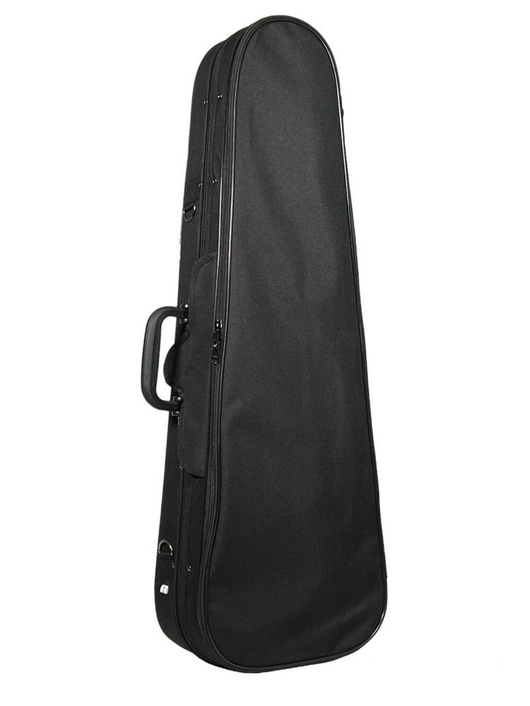 Petz Violin Violin Case Triangular Shape with Shoulder Rest Compartment in 5 ...
