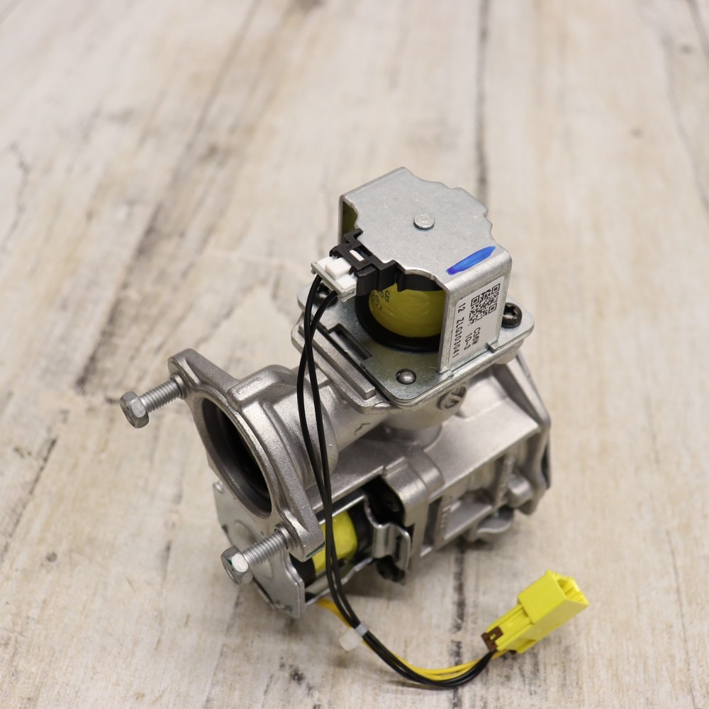 Rinnai 106000154 Gas Control Assembly, Natural Gas For V53De, Genuine OEM