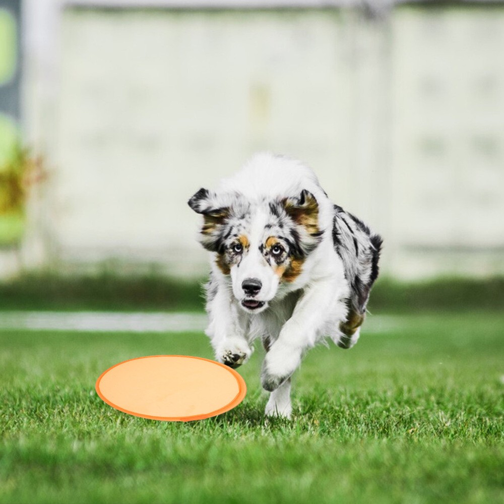 16pcs Foldable Flying Disc Flying Plate Plaything Foldable Fan