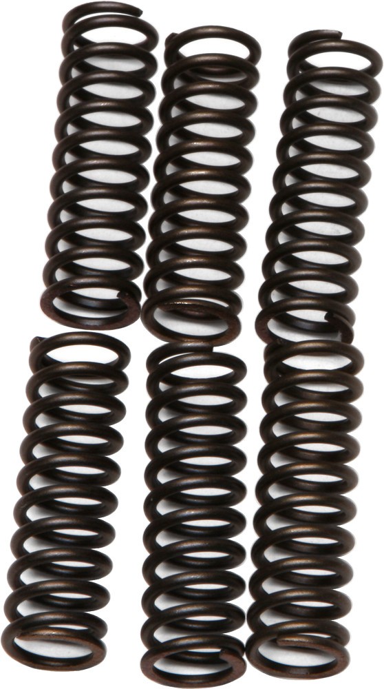 EBC CSK Clutch Spring Kit CSK17