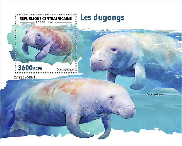 Dugongs