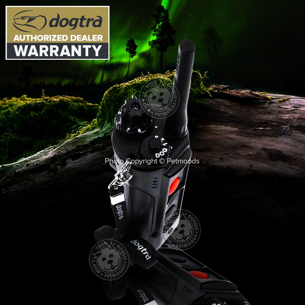 Dogtra EDGE RT Expandable 1-Mile Remote Training Collar Waterproof System
