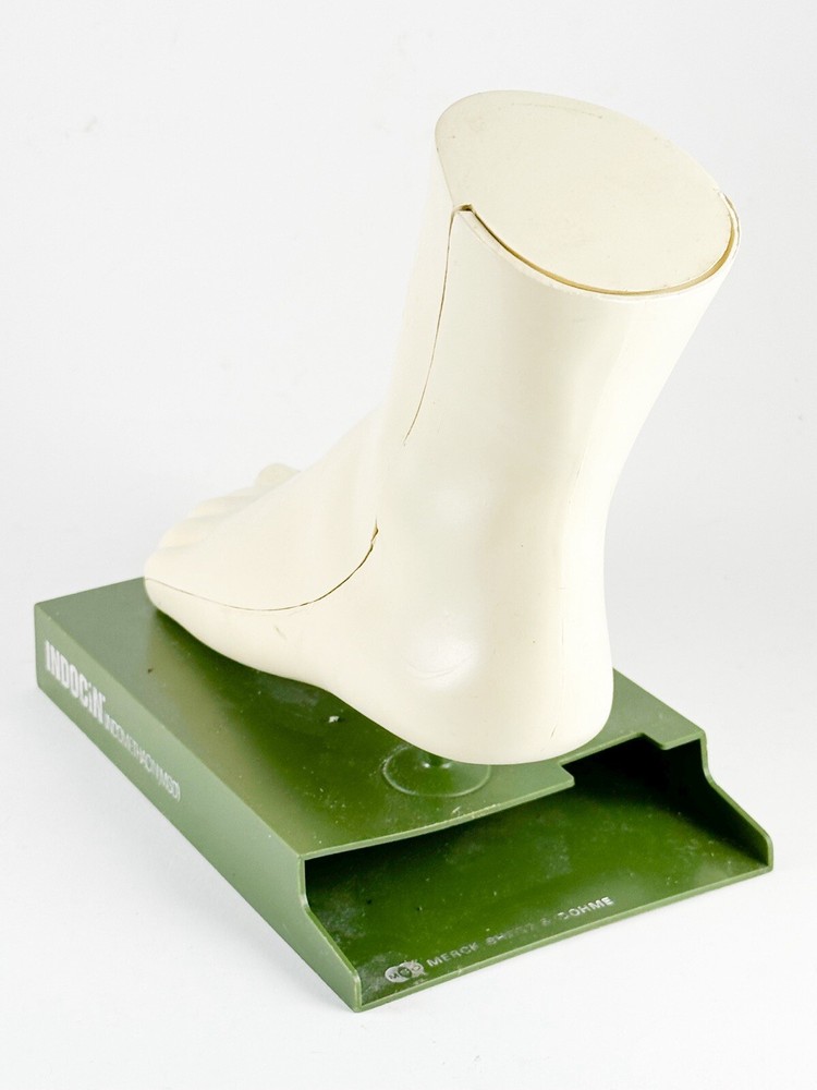 Merck Sharpe & Dome Anatomic Foot Model