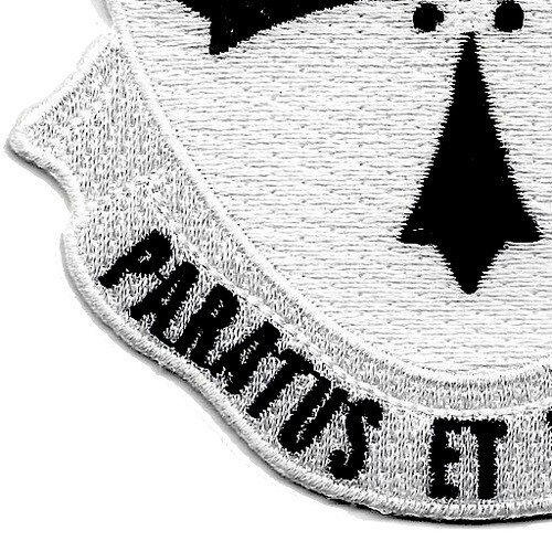 381st Infantry Regiment Patch