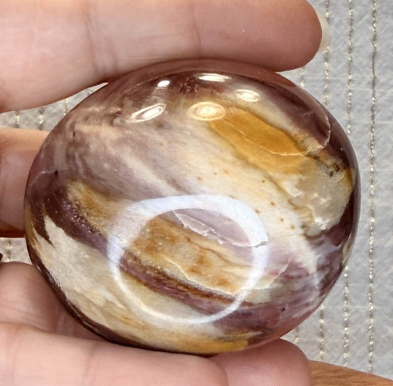 Petrified Wood Palmstone