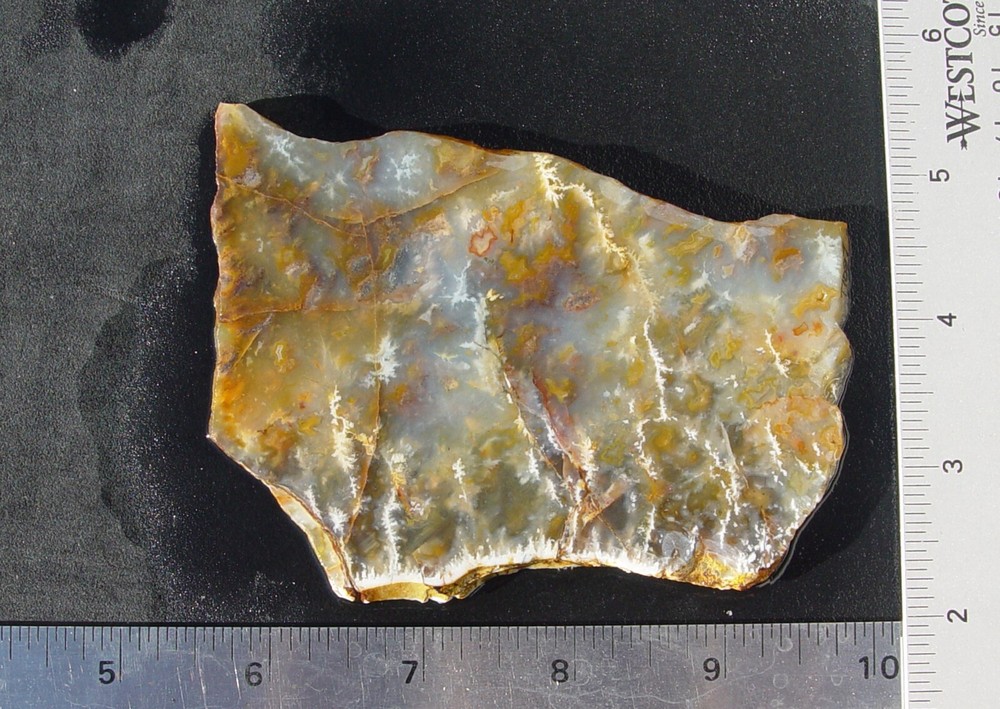 Graveyard Point Plume Agate Lapidary Slab T1097