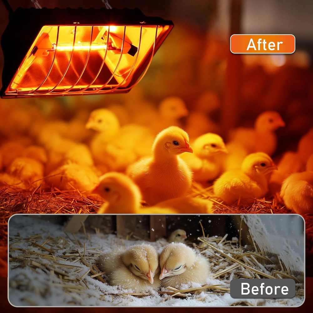250W Chicken Brooder Heater for Chicks Ducks, Brooder Heater with 2PCS Heat Lamp