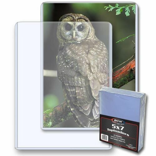 500 BCW 5x7 Photo Print Document Toploader Holder Plastic Rigid Case Standard