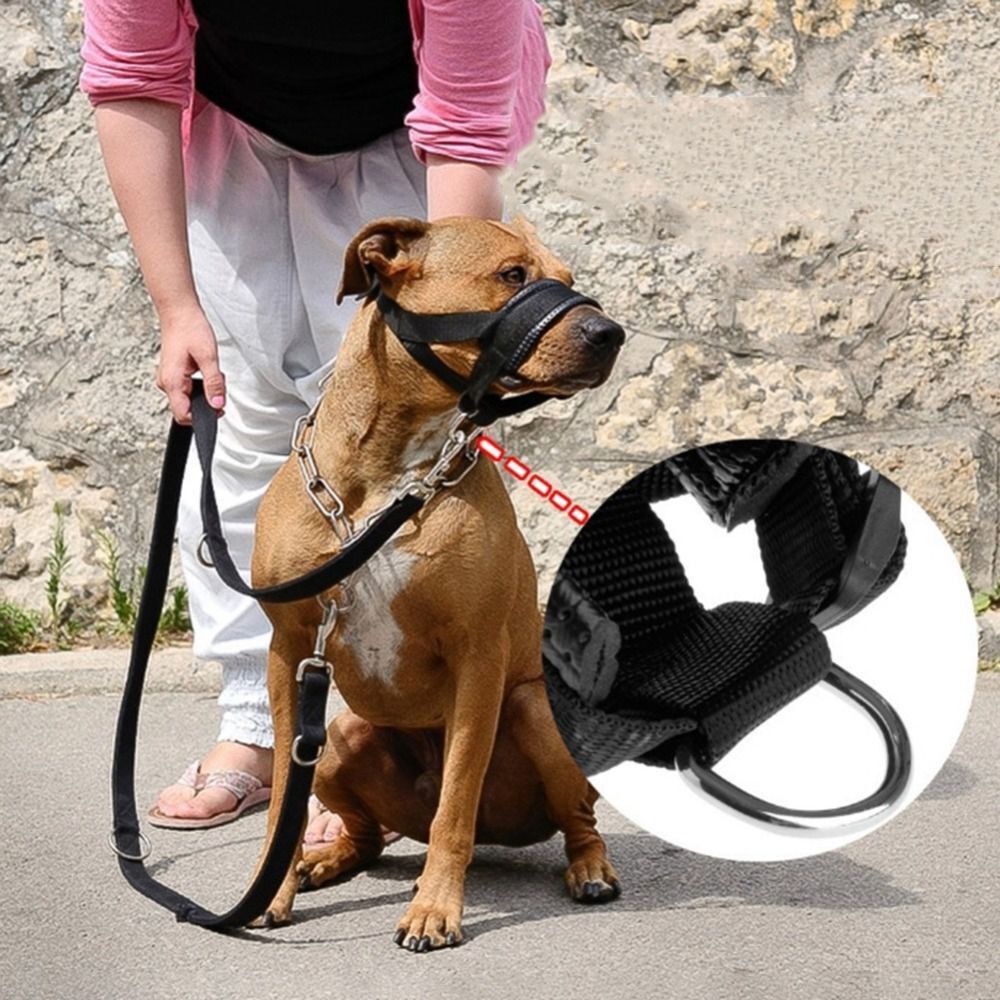 Adjustable Anti-biting Dog Muzzle Safe Collar Muzzle Pet Traction Halter Leash