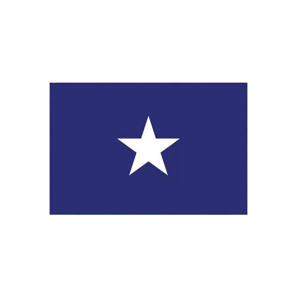 Bonnie Blue Flag Sticker Decal