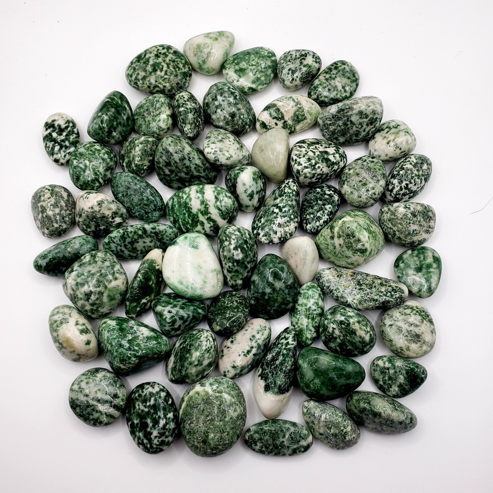 Tree agate - Tumbled & Polished Natural Healing Crystal Gemstones - 2pc
