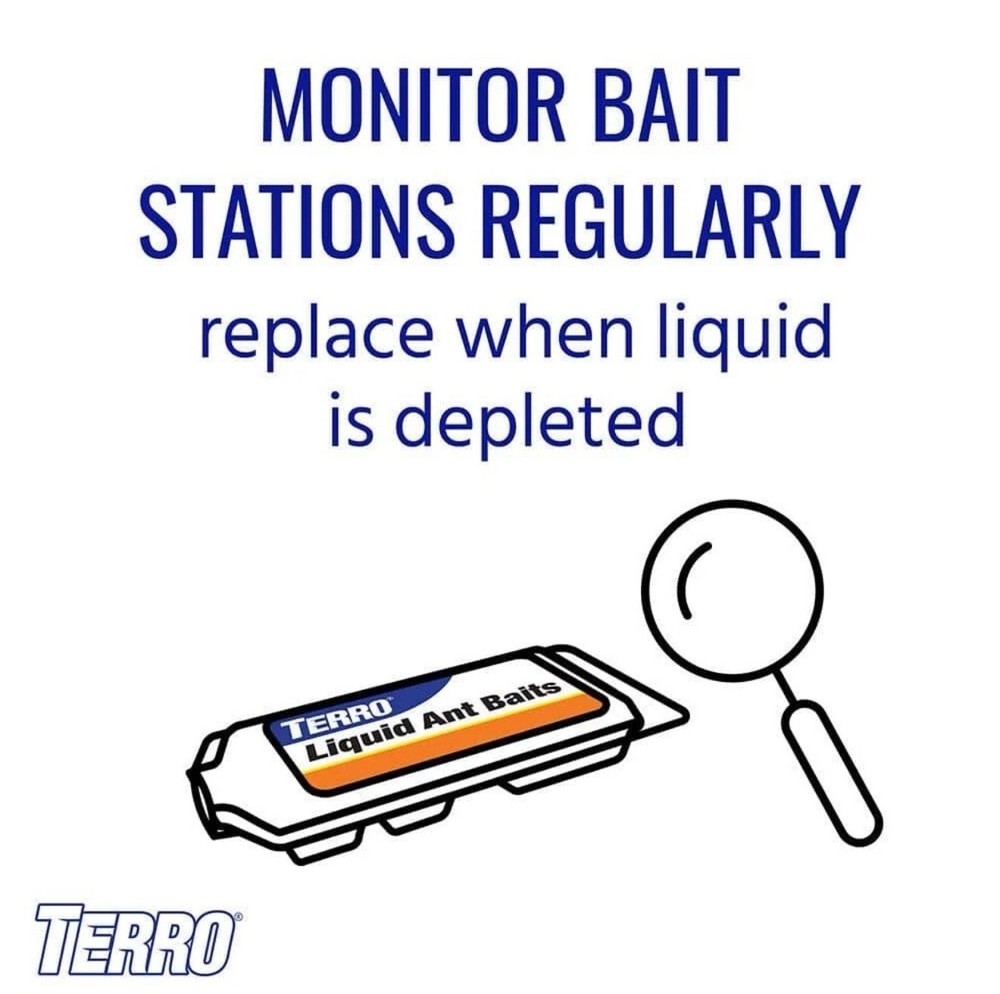 TERRO Liquid Ant Bait Ant Killer 6 Bait Stations 2 Packs