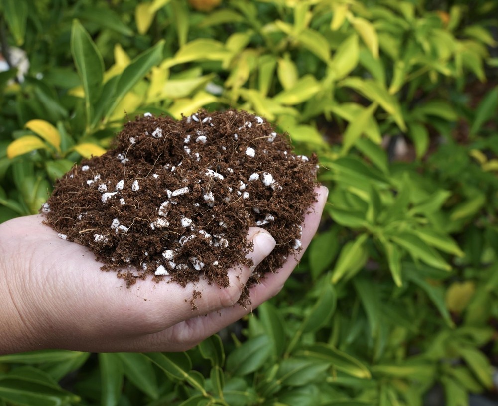Happy Trees Coco Coir and Perlite Growing Medium, Potting Mix, Seed-Starting,...