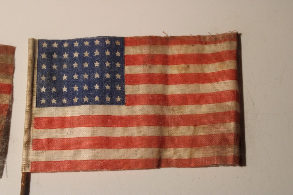 2 RARE Vintage 48 State Bicycle American Flags